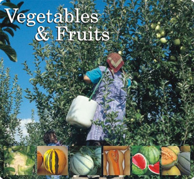 VEGETABLES & FRUITS